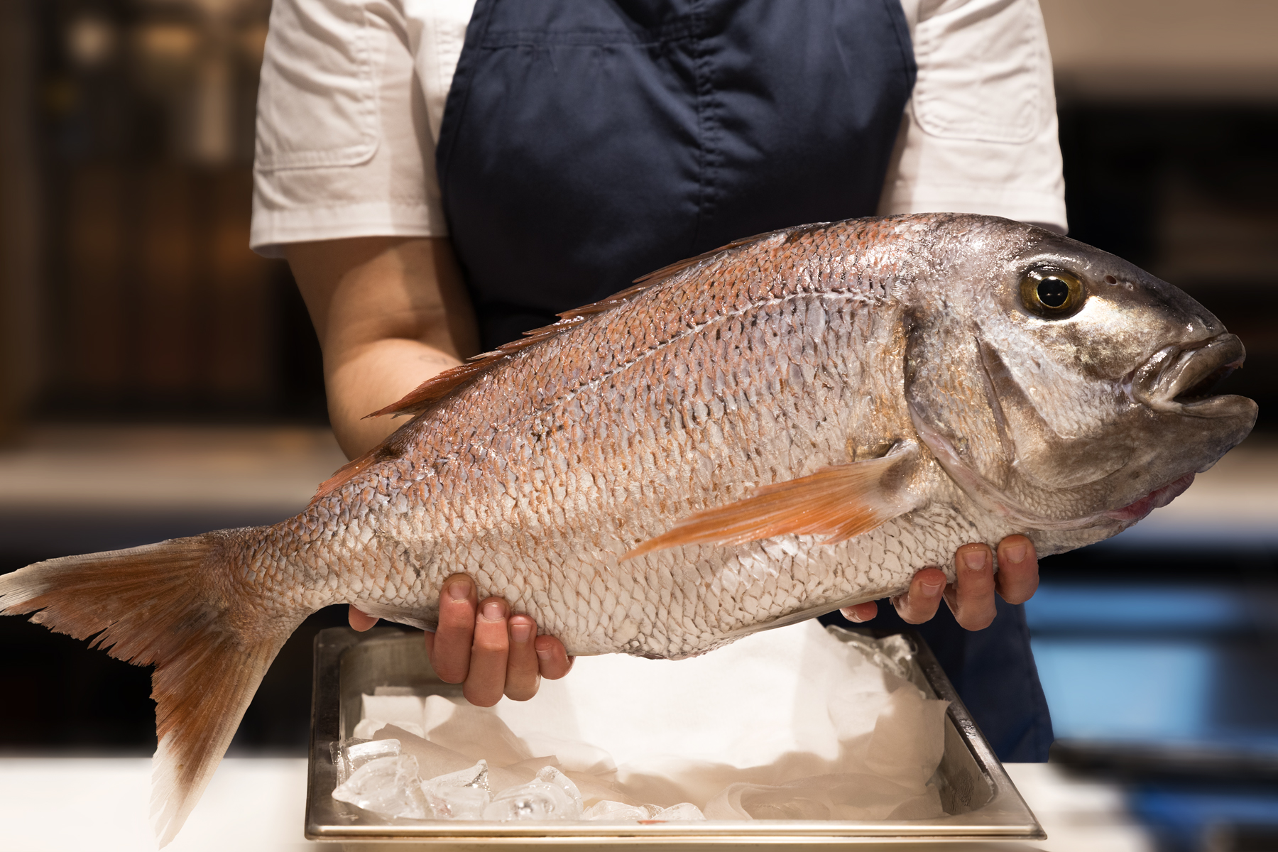 Cocina mediterránea en Palma Producto temporada restaurante Palma